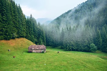 house in the valley