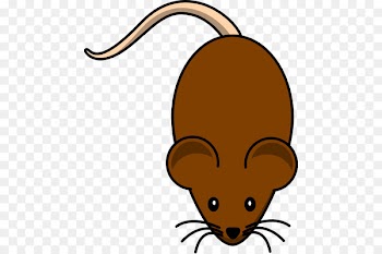 House mouse Blog Clip art - Brown Cliparts 