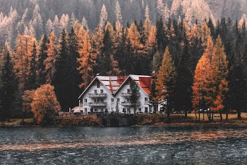 House Near Body of Water and Forest