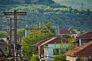 House Near Forest