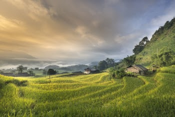 House Near Green Grass
