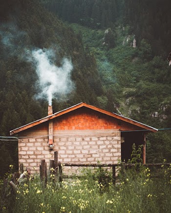 House Near Green Trees