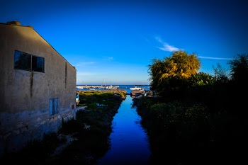 House Near Lake