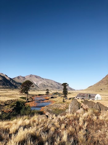 House Near River