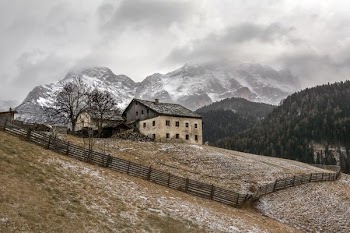 house near tree on top of mountain