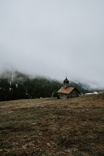 House Near Trees