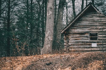 House Near Trees