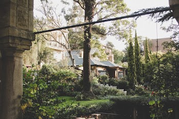 House Near Trees