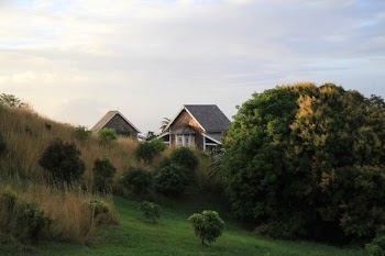 house near trees and greenfield