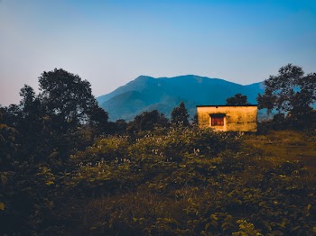 House Near Trees Facing Mountain Range
