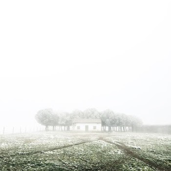 house near trees on green grass field