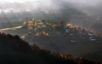 House on Green Hills With Trees Painting