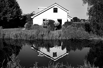 House on Riverbank