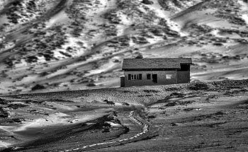 House on Rural Area Grayscale Photo