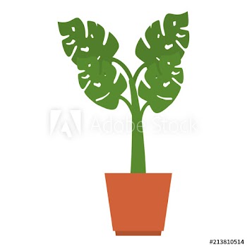 house plant in pot design