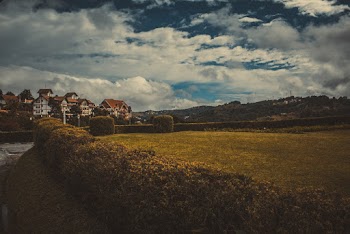House Surrounded by Grass