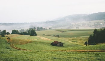 house surrounded by grass during daytime