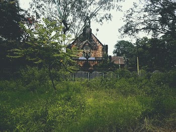 House Surrounded by Trees
