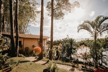 House Surrounded by Trees