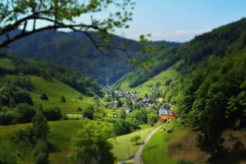 House Surrounded by Trees and Mountains
