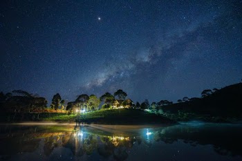house surrounded by trees during nighttime
