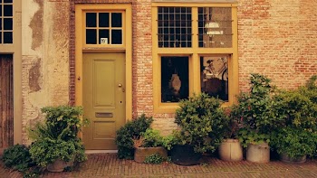 House Terrace With Green Leaf Plants during Daytime