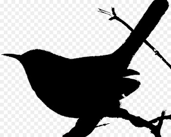House wren Bird Houses Clip art - bird 
