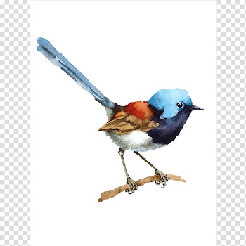 House wren Bird Watercolor painting, watercolor bird transparent background PNG clipart