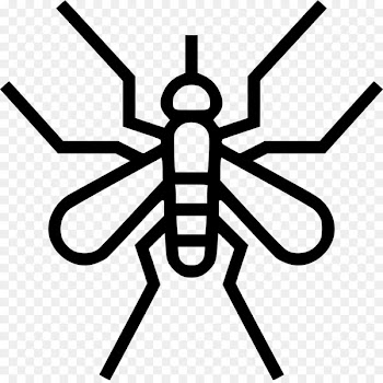 Household Insect Repellents Mosquito control Mosquito coil Zika virus - insect 