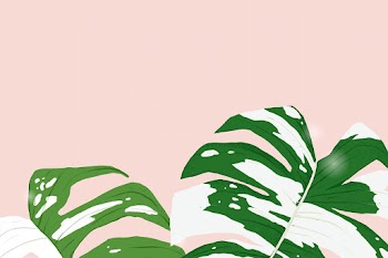 Houseplant background psd monstera variegated… | Free stock illustration | High Resolution graphic
