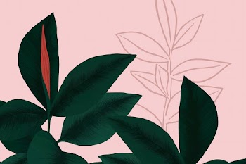 Houseplant background psd rubber plant… | Free stock illustration | High Resolution graphic