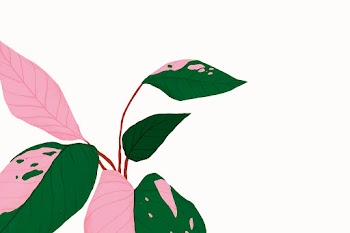 Houseplant background vector botanical… | Free stock illustration | High Resolution graphic