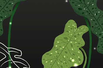 Houseplant background vector botanical… | Free stock illustration | High Resolution graphic