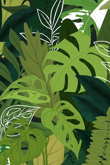 Houseplant background vector botanical… | Free stock illustration | High Resolution graphic