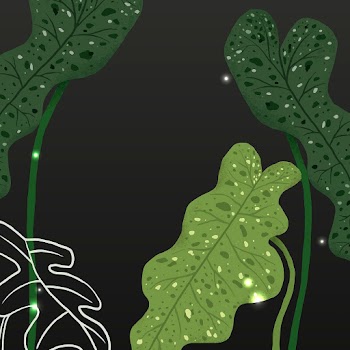Houseplant background vector botanical… | Free stock illustration | High Resolution graphic