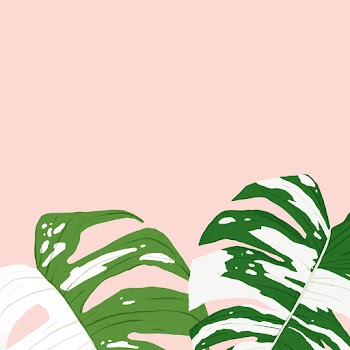 Houseplant background vector monstera… | Free stock illustration | High Resolution graphic