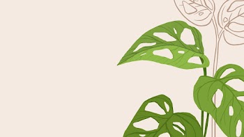 Houseplant background vector monstera swiss… | Free stock illustration | High Resolution graphic