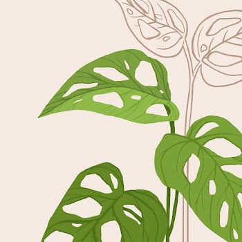 Houseplant background vector monstera swiss… | Free stock illustration | High Resolution graphic