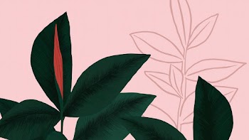 Houseplant background vector rubber plant… | Free stock illustration | High Resolution graphic