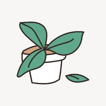 Houseplant collage element vector | Free Vector - rawpixel