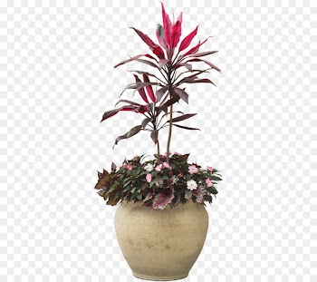 Houseplant Flowerpot - Indoor plant potted plants 