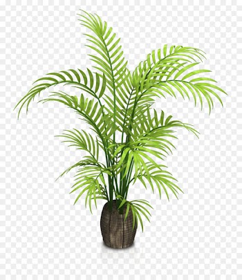 Houseplant Flowerpot - Indoor potted plants 