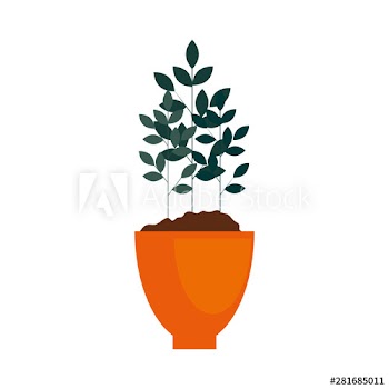 houseplant in pot natural icon