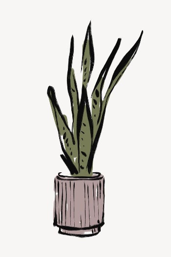 Houseplant line art, aesthetic illustration | Free Photo - rawpixel