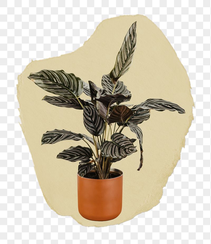 Houseplant png ripped paper sticker, | Free PNG - rawpixel