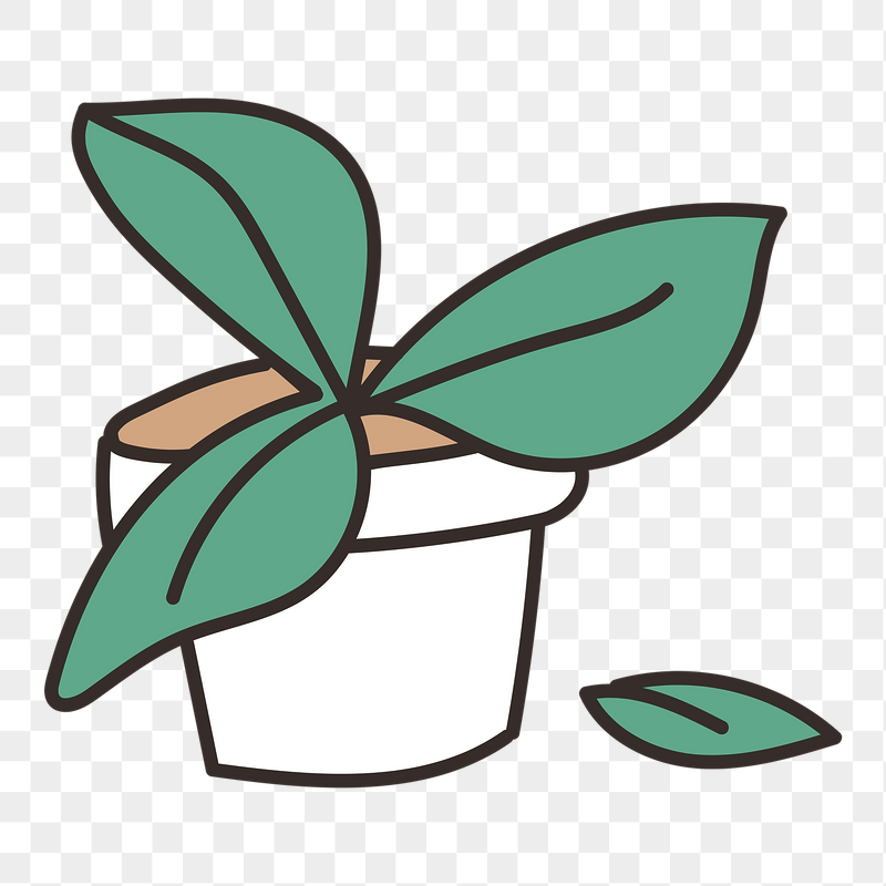 Houseplant png sticker, transparent background | Free PNG - rawpixel