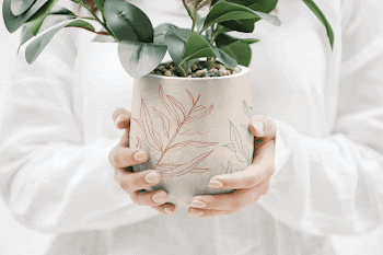 Houseplant pot mockup, editable design | Free PSD Mockup - rawpixel