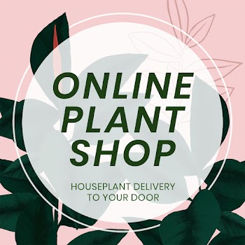 Houseplant social media template psd with… | Free stock illustration | High Resolution graphic