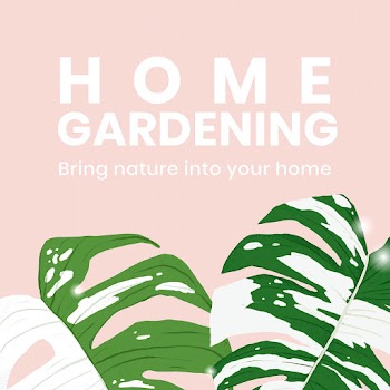 Houseplant social media template vector with… | Free stock illustration | High Resolution graphic