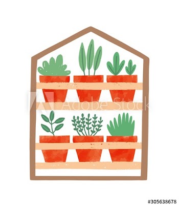 Houseplants in ceramic pots flat vector illustration